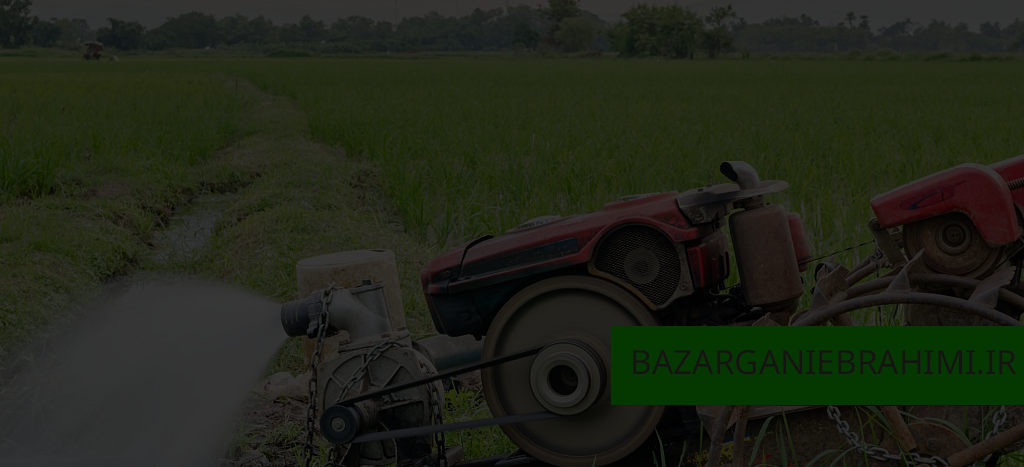 بازرگانی ابراهیمی